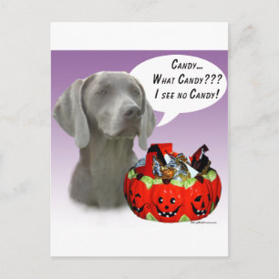 Weimaraner Halloween Snoep Briefkaart