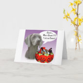 Weimaraner Halloween Snoep Kaart (Gele Bloem)