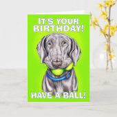 Weimaraner heeft een bal kaart (Gele Bloem)