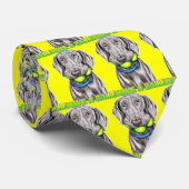 Weimaraner heeft een bal stropdas (Opgerold)
