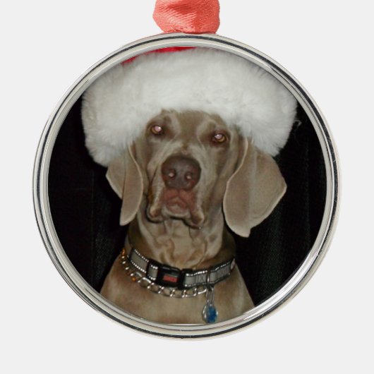 Weimaraner Holiday Helper Metalen Ornament (Voorkant)