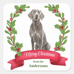 Weimaraner Holly Banner Kerstmis Vierkante Sticker