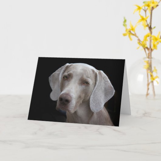 Weimaraner Hond Blank Kaart  (Gele Bloem)