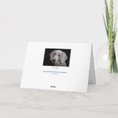 Weimaraner Hond Blanke Kaart  (Achterkant)