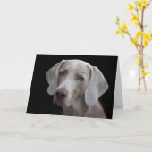 Weimaraner Hond Blanke Kaart  (Gele Bloem)