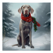 Weimaraner Hond in Sneeuw Kerstmis Perfect Poster (Voorkant)