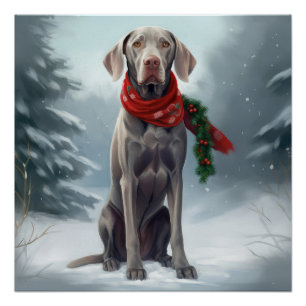 Weimaraner Hond in Sneeuw Kerstmis Perfect Poster