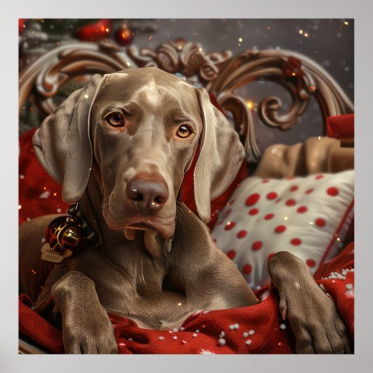 Weimaraner Hond Kerst Feestelijk Poster (Voorkant)