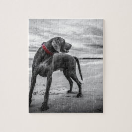 Weimaraner hond legpuzzel