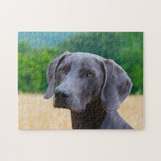 Weimaraner Hond Legpuzzels. Legpuzzel (Horizontaal)
