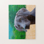 Weimaraner Hond Legpuzzels. Legpuzzel (Verticaal)