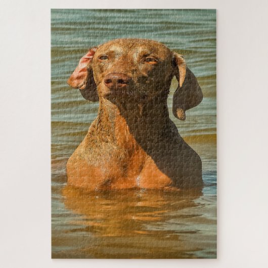 Weimaraner Hond Legpuzzels. Legpuzzel (Verticaal)