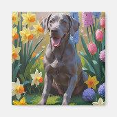Weimaraner hond lente bloemen schilderij magneet (Voorkant)