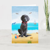 weimaraner Hond op het strand Kaart (Voorkant)