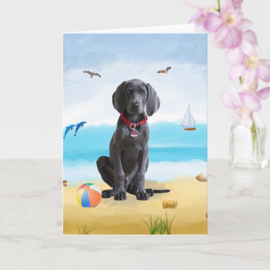 weimaraner Hond op het strand Kaart (Orchidee)