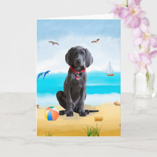 weimaraner Hond op het strand Kaart