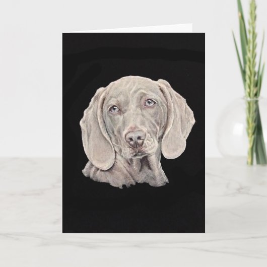 Weimaraner hond op zwart. kaart (Voorkant)