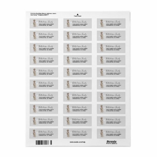 Weimaraner Hond Retouradres Labels (Full Sheet)