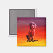Weimaraner hond zittend op het strand magneet (Voorkant / Achterkant)