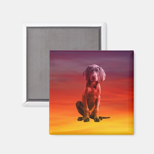 Weimaraner hond zittend op het strand magneet (Voorkant / Achterkant)