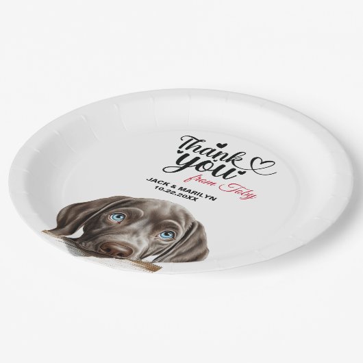 Weimaraner Hondenbruiloft Dank u Papieren Bordje (Gekanteld)