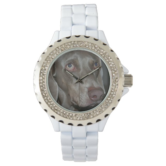 Weimaraner Horloge (Voorkant)