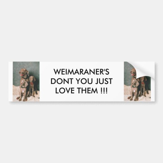 WEIMARANER HOU NIET ALLEEN VAN HEN BUMPERSTICKER (Voorkant)
