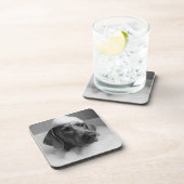 Weimaraner in bad met bellen op zijn hoofd bier onderzetter (Rechterzijde)