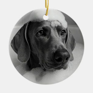Weimaraner in bad met bellen op zijn hoofd keramisch ornament