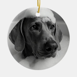 Weimaraner in bad met bellen op zijn hoofd keramisch ornament