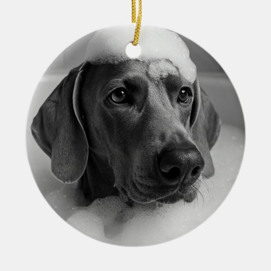 Weimaraner in bad met bellen op zijn hoofd keramisch ornament (Voorkant)