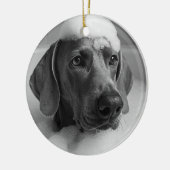 Weimaraner in bad met bellen op zijn hoofd keramisch ornament (Links)