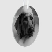 Weimaraner in bad met bellen op zijn hoofd ornament (voorkant)