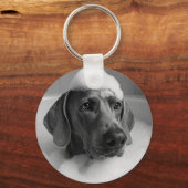 Weimaraner in bad met bellen op zijn hoofd sleutelhanger (Voorkant)
