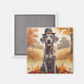 Weimaraner in de herfst verlaat Thanksgiving kunst Magneet (Voorkant / Achterkant)