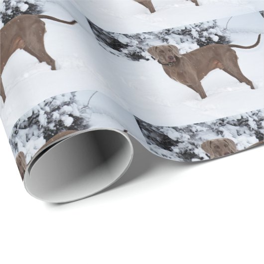 Weimaraner in de winter cadeaupapier (Rol Hoek)