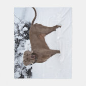 Weimaraner in de winter fleece deken (Voorkant)