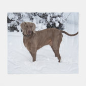 Weimaraner in de winter fleece deken (Voorkant (Horizontaal))