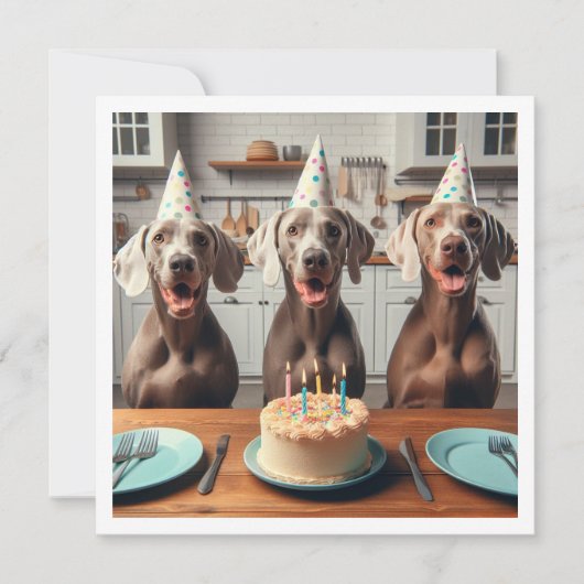 Weimaraner kaart, Weimaraner verjaardag Kaart (Voorkant)