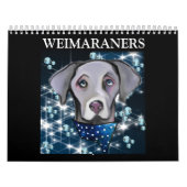 WEIMARANER  KALENDER (Hoes)