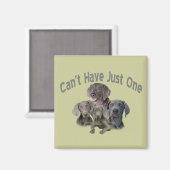 Weimaraner kan niet slechts één magneet (Voorkant / Achterkant)