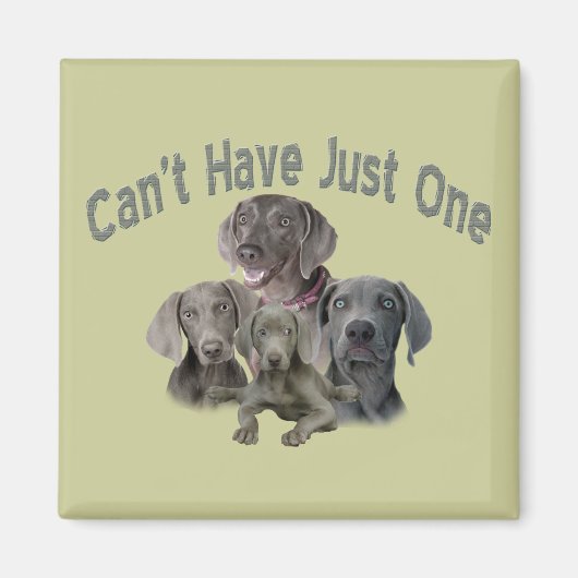 Weimaraner kan niet slechts één magneet (Voorkant)