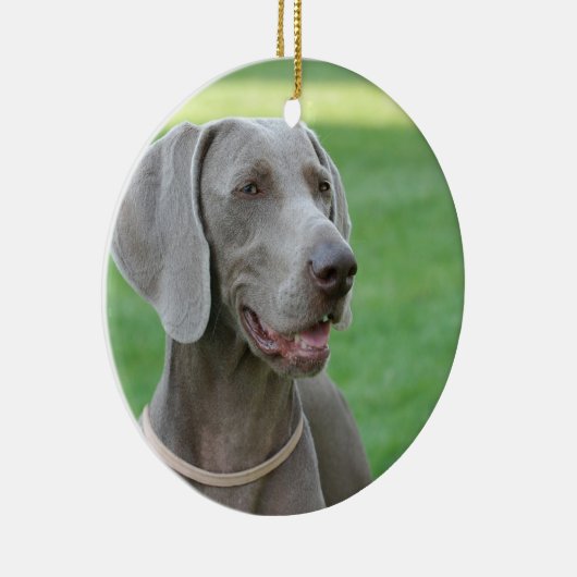 Weimaraner Keramisch Ornament (Rechts)
