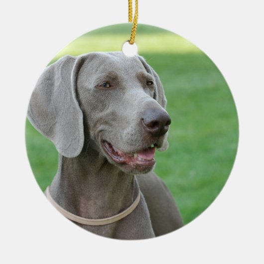 Weimaraner Keramisch Ornament (Voorkant)