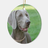 Weimaraner Keramisch Ornament (Links)