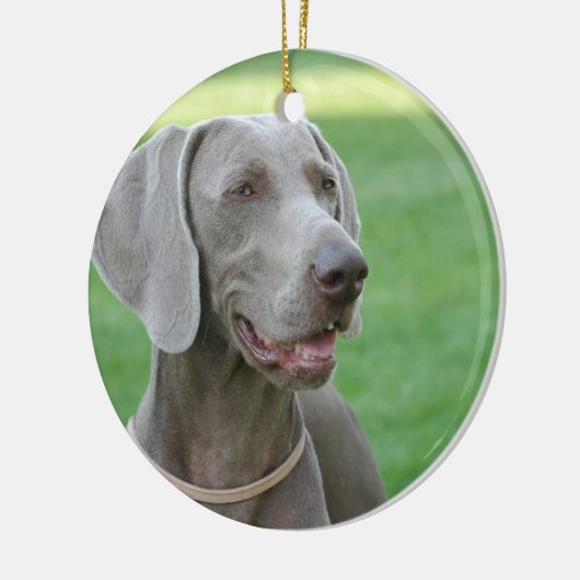 Weimaraner Keramisch Ornament (Links)
