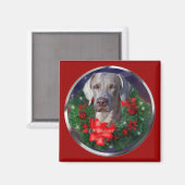 Weimaraner-kerstcadeautjes Magneet (Voorkant / Achterkant)