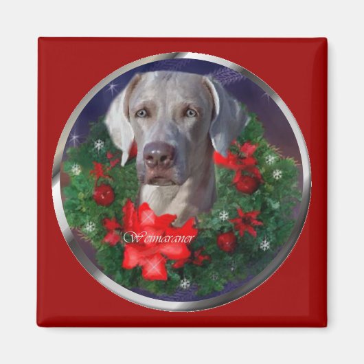 Weimaraner-kerstcadeautjes Magneet (Voorkant)