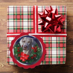 Weimaraner-kerstcadeautjes Ornament Kaart