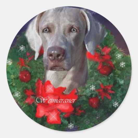 Weimaraner-kerstcadeautjes Ronde Sticker (Voorkant)